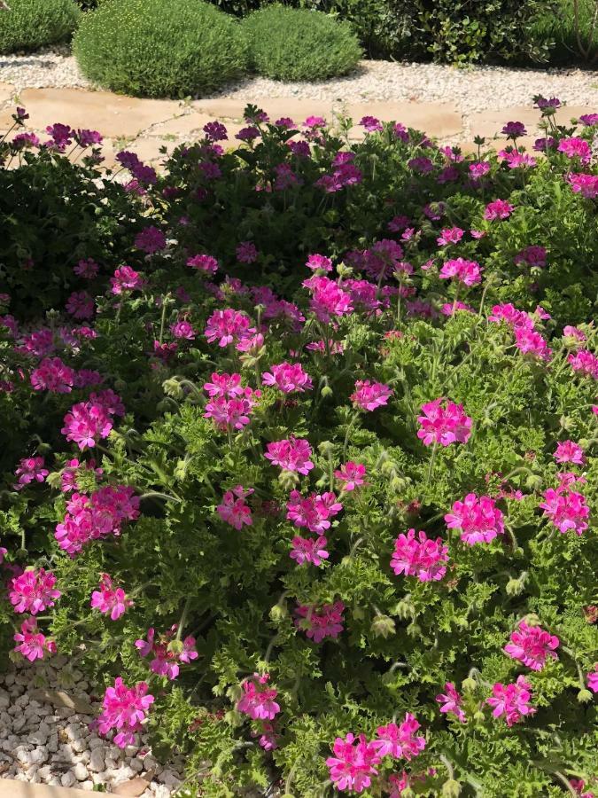 Appartamenti San Lorenzo Marzamemi Cecilia Reitani Dış mekan fotoğraf